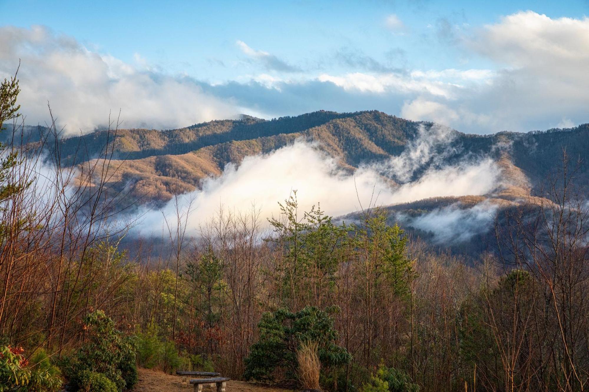 Real Log Cabin With Amazing Views, Hot Tub, Sauna, Games Gatlinburg Buitenkant foto